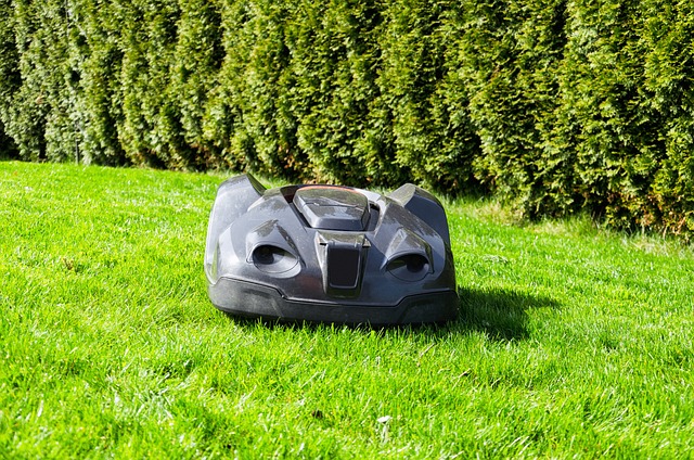 Hvad er robotplæneklippere? Få svaret her!